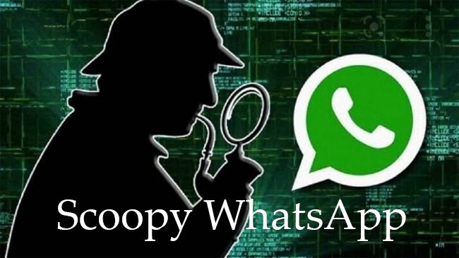 Scoopy WhatsApp