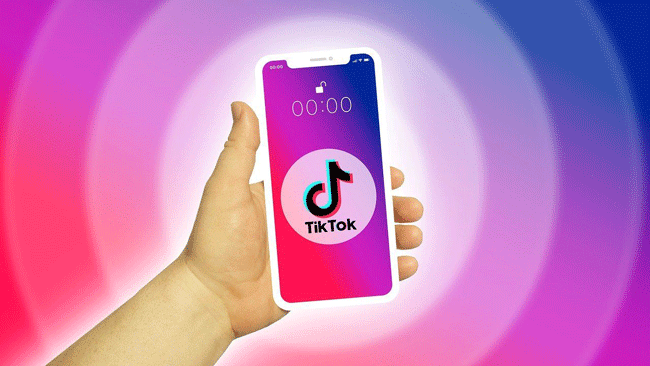 Snaptik App Download Video TikTok Tanpa Watermark dan Gratis