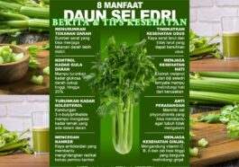 8 Manfaat Seledri untuk Tekanan Darah dan Kesehatan