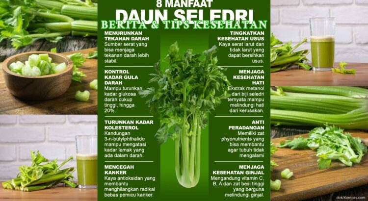 8 Manfaat Seledri untuk Tekanan Darah dan Kesehatan