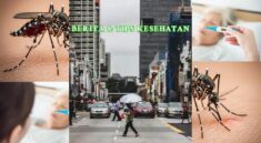 Lonjakan Kasus Chikungunya di Singapura dan Cara Mencegah