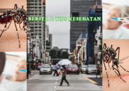 Lonjakan Kasus Chikungunya di Singapura dan Cara Mencegah