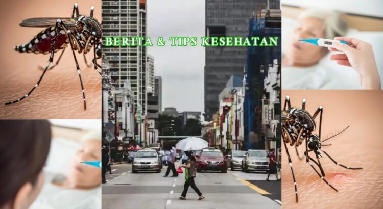 Lonjakan Kasus Chikungunya di Singapura dan Cara Mencegah