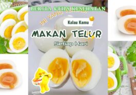 Makan 2 Telur Rebus Bolehkan Setiap Hari Ini Faktanya