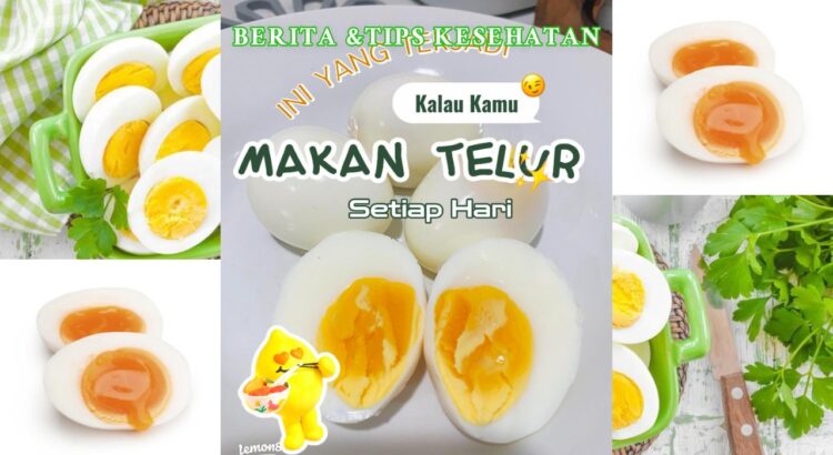 Makan 2 Telur Rebus Bolehkan Setiap Hari Ini Faktanya