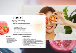 Manfaat Tomat untuk Kesehatan Kulit, Jantung, dan Mata