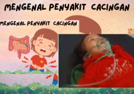 Mengenal Penyakit Cacingan Gejala, Penyebab, dan Pencegahan