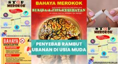 Bahaya Rokok dan Alkohol pada Perkembangan Otak Remaja