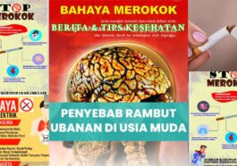 Bahaya Rokok dan Alkohol pada Perkembangan Otak Remaja