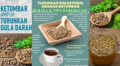 Ketumbar untuk Kesehatan Benarkah Bisa Turunkan Gula Darah