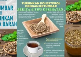 Ketumbar untuk Kesehatan Benarkah Bisa Turunkan Gula Darah