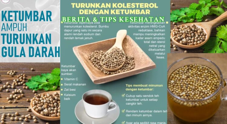 Ketumbar untuk Kesehatan Benarkah Bisa Turunkan Gula Darah
