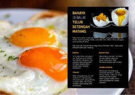 Konsumsi Telur Setengah Matang Risiko Kesehatan di Baliknya