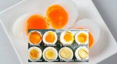 Manfaat Telur Setengah Matang untuk Tubuh Lebih Sehat