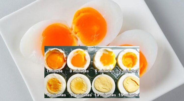 Manfaat Telur Setengah Matang untuk Tubuh Lebih Sehat