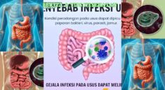 Parasit Usus Gejala Umum, Risiko, dan Pencegahan Efektif