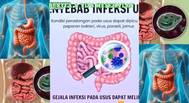 Parasit Usus Gejala Umum, Risiko, dan Pencegahan Efektif