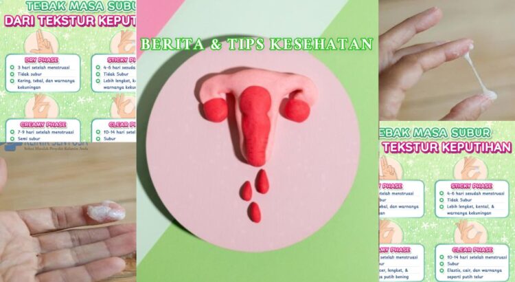 Perbedaan Keputihan Sebelum dan Sesudah Haid yang Normal