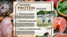 Protein Penting untuk Pertumbuhan Anak dan Kesehatan Tubuh