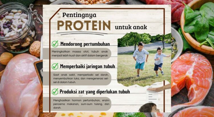 Protein Penting untuk Pertumbuhan Anak dan Kesehatan Tubuh