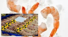 Bahaya Radioaktif pada Makanan bagi Kesehatan Tubuh