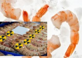 Bahaya Radioaktif pada Makanan bagi Kesehatan Tubuh