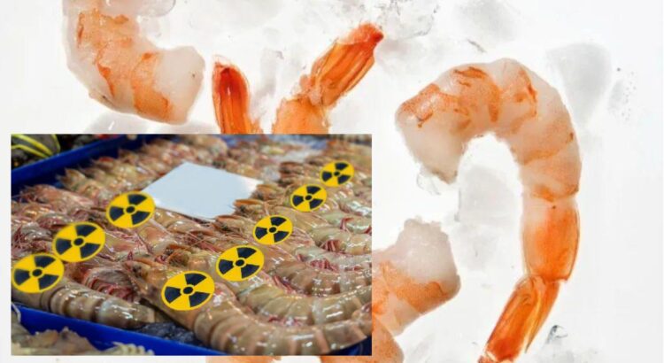 Bahaya Radioaktif pada Makanan bagi Kesehatan Tubuh