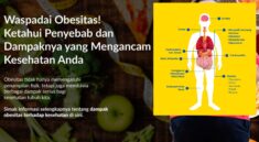 Obesitas Picu Diabetes, Jantung, hingga Gangguan Pernapasan