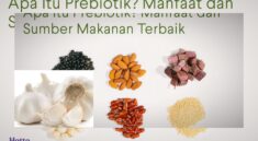 Makanan Kaya Prebiotik untuk Menjaga Usus dan Imun Tubuh