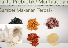 Makanan Kaya Prebiotik untuk Menjaga Usus dan Imun Tubuh