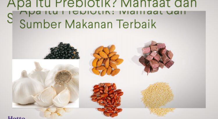 Makanan Kaya Prebiotik untuk Menjaga Usus dan Imun Tubuh