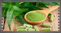 Spearmint Alami Dinilai Bantu Redakan Stres dan Fokus