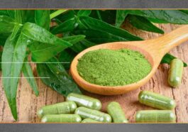 Spearmint Alami Dinilai Bantu Redakan Stres dan Fokus