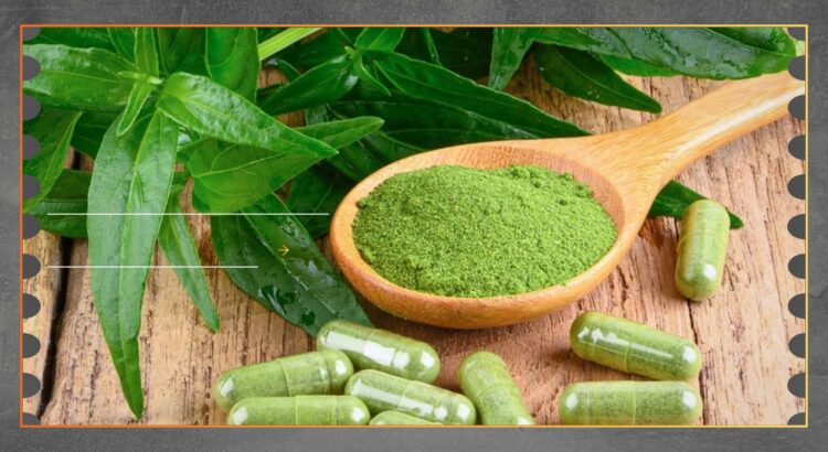 Spearmint Alami Dinilai Bantu Redakan Stres dan Fokus