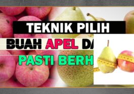 Apel atau Pir, Buah Mana yang Lebih Sehat untuk Tubuh