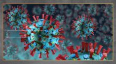 Mengenal Superflu H3N2 Fakta, Risiko, dan Pencegahannya