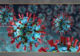 Mengenal Superflu H3N2 Fakta, Risiko, dan Pencegahannya