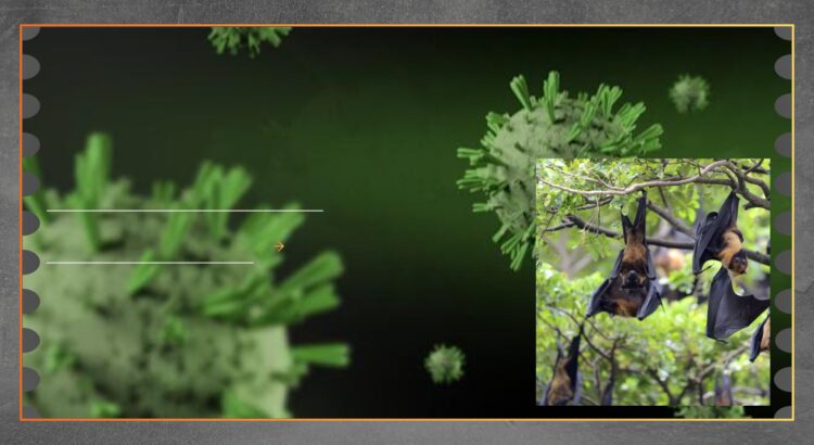 Waspada Virus Nipah di Thailand, Kenali Gejala dan Risiko