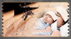 Terlambat Ditangani, Kasus DBD Masih Mengancam Kesehatan