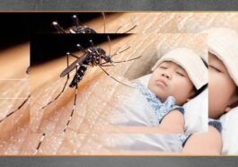 Terlambat Ditangani, Kasus DBD Masih Mengancam Kesehatan