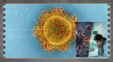 Super Flu Tewaskan Pasien, Kelompok Rentan Terancam