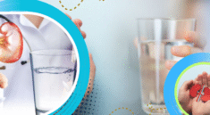 Kurang Minum Air Putih Tingkatkan Risiko Gangguan Ginjal