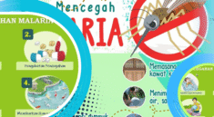 Strategi Baru Lawan Malaria, Fokus pada Pencegahan