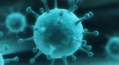 Kasus Influenza Naik 51 Persen, Ini Imbauan Kemenkes
