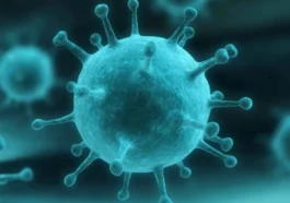 Kasus Influenza Naik 51 Persen, Ini Imbauan Kemenkes