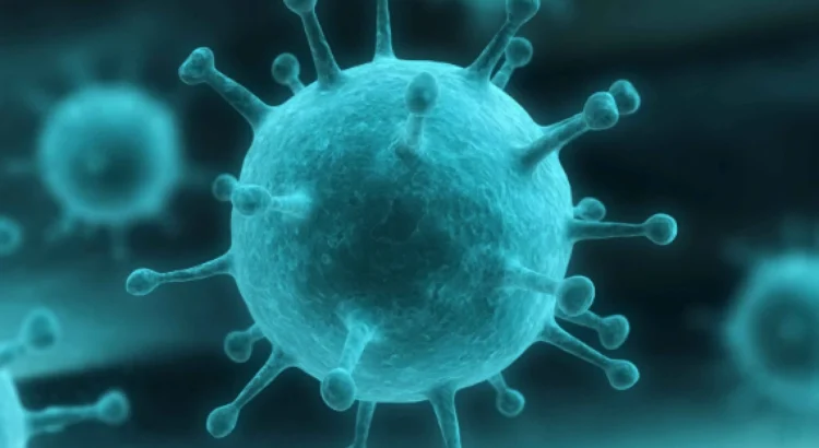 Kasus Influenza Naik 51 Persen, Ini Imbauan Kemenkes